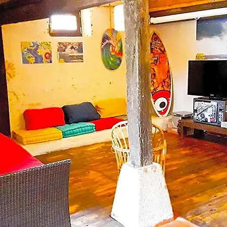 Surftolive House