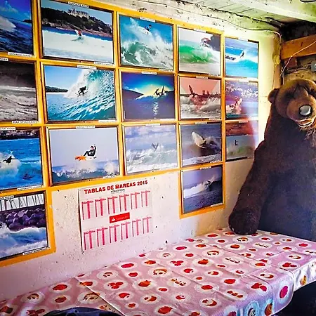 Surftolive House *