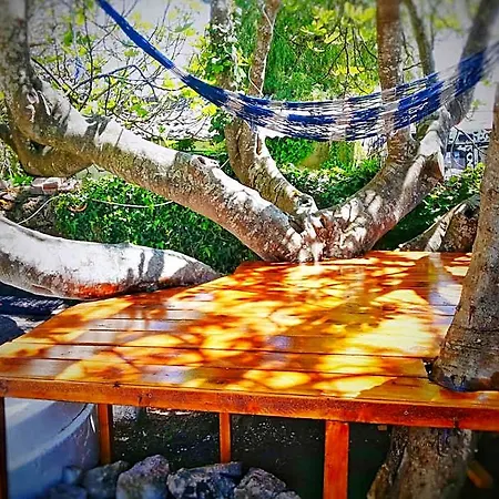 Surftolive House * Rubayo