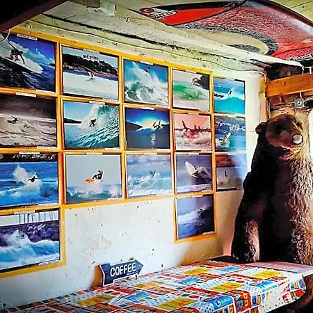 Surftolive House *